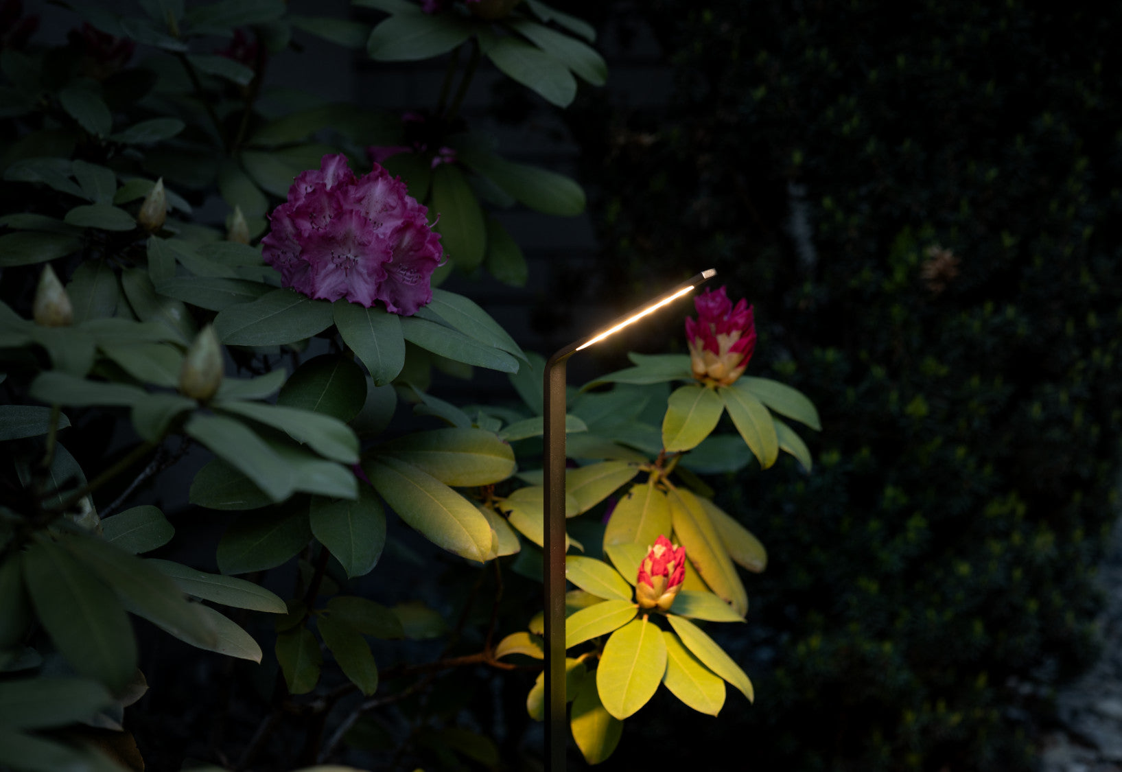 SLIM LED – Schwarz