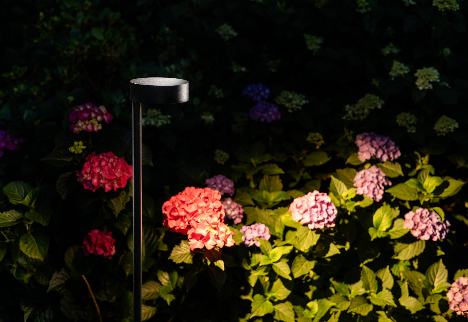 RUBY LED – Schwarz