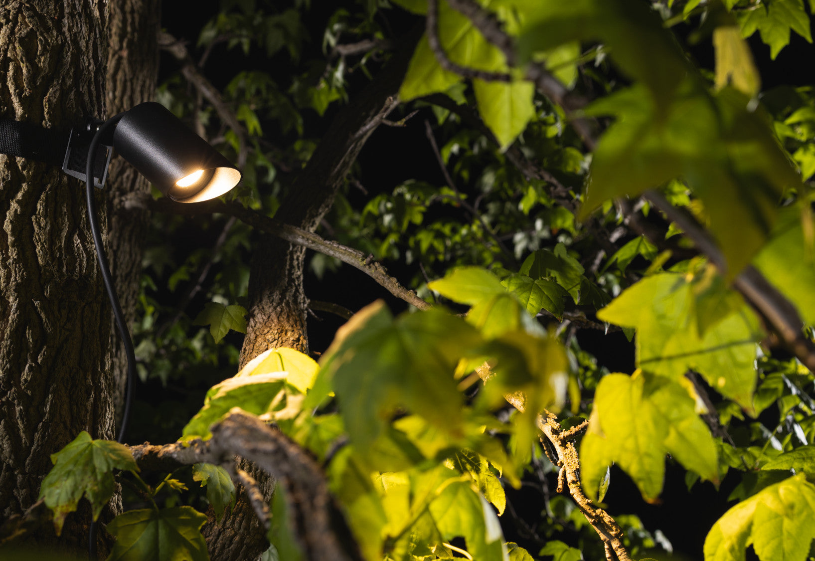 RUMI LED – Schwarz
