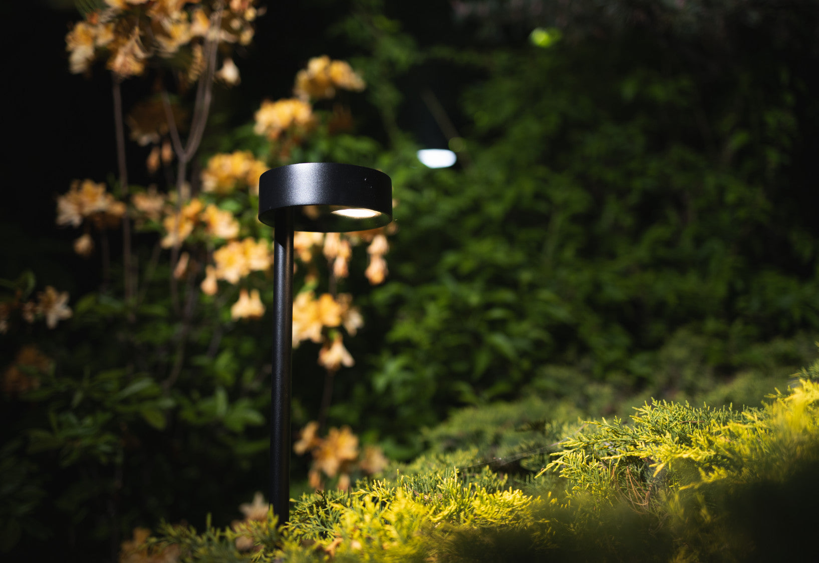 RUBY LED – Schwarz
