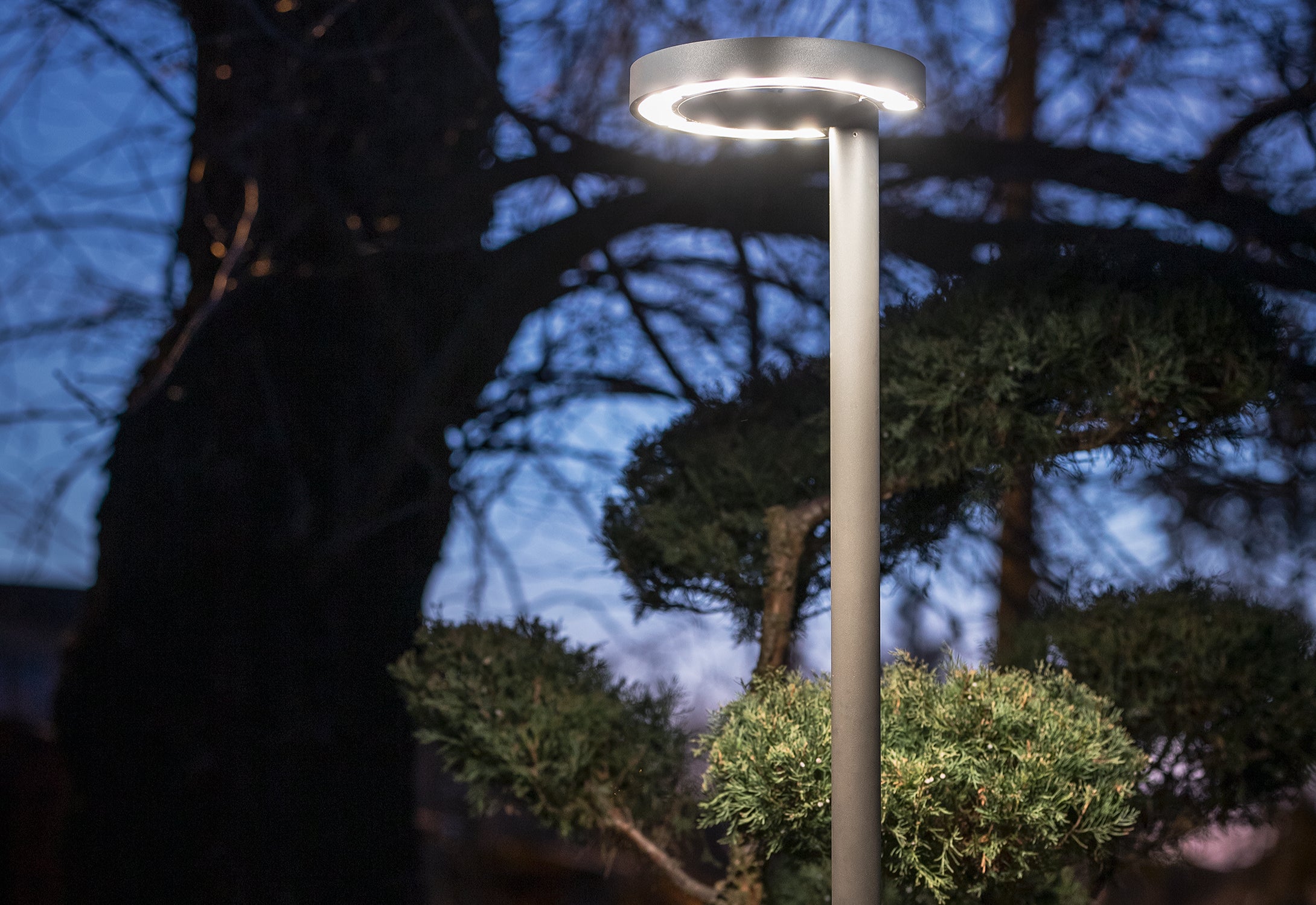 POLE LED – Graphit